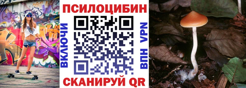 наркотики  Полевской  Галлюциногенные грибы Magic Shrooms 